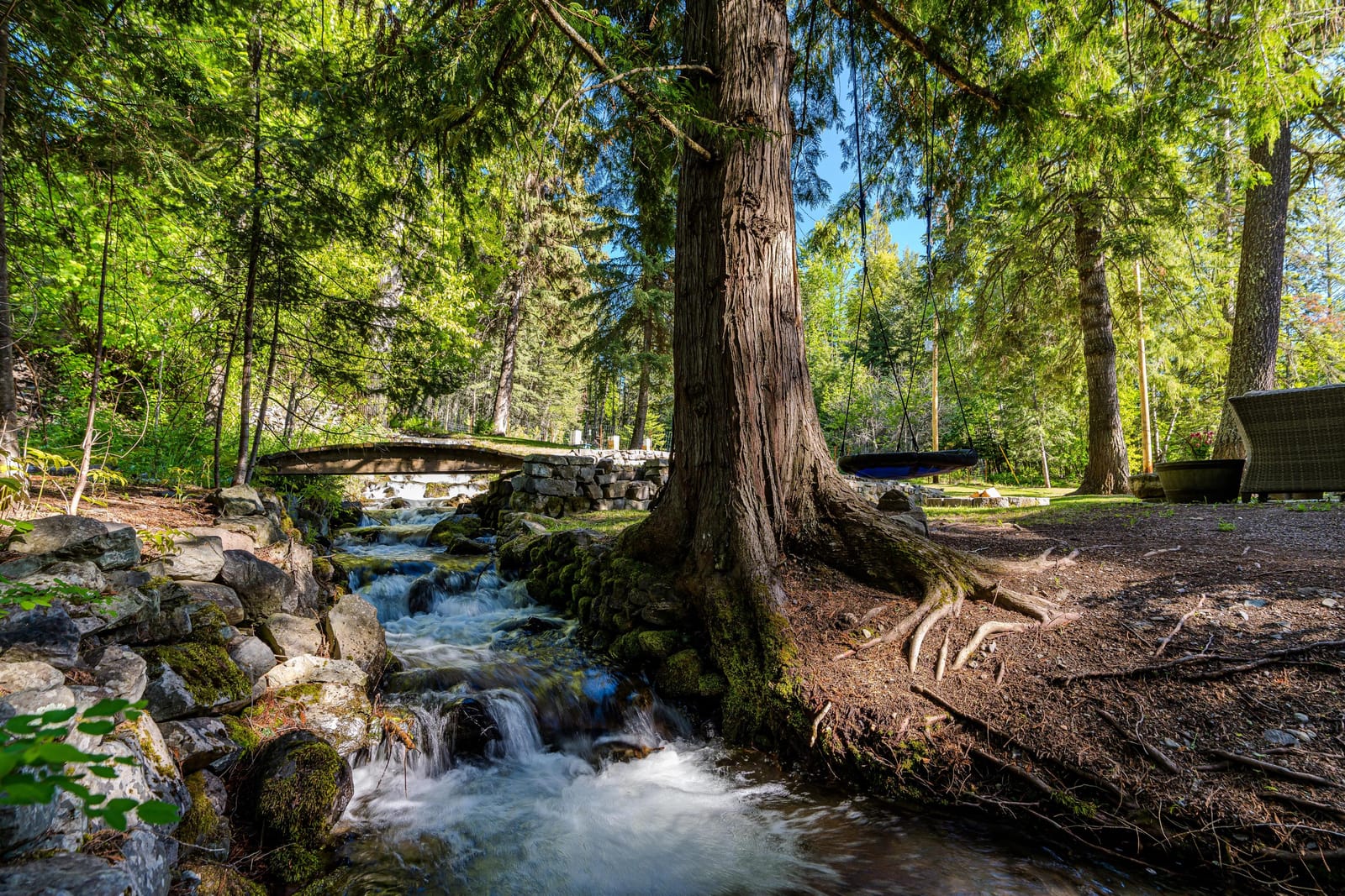 The year-round creek tumbling over mossy stones beside a tall cedar